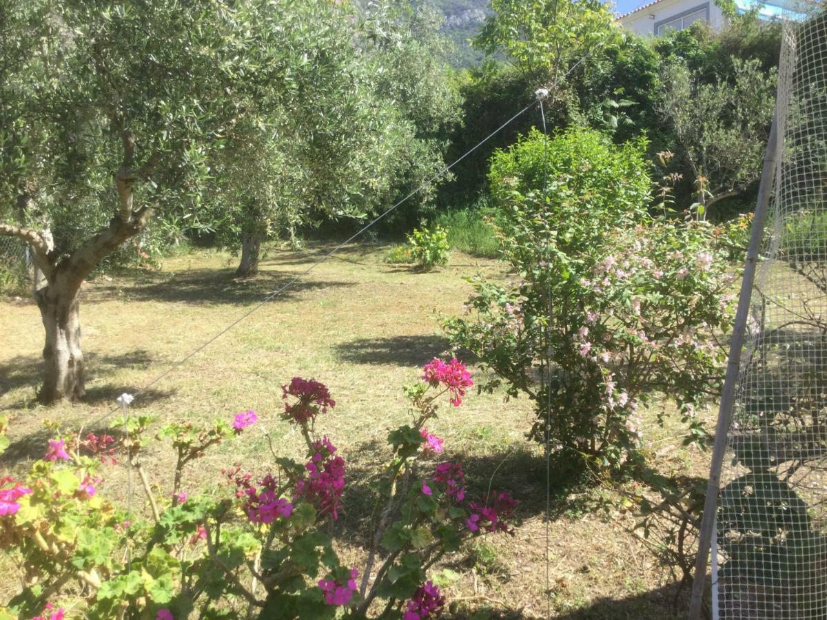 The Cabin, Kyparissia Dış mekan fotoğraf