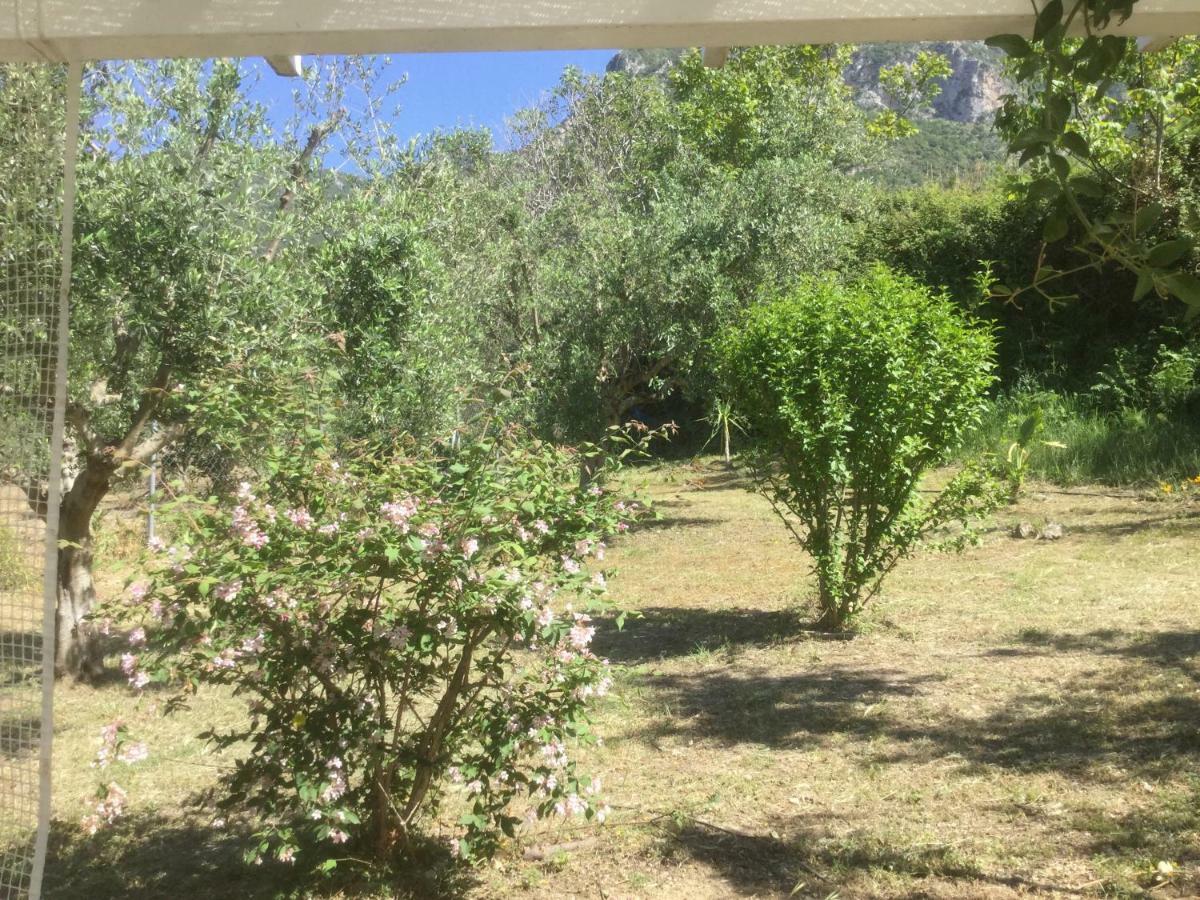 The Cabin, Kyparissia Dış mekan fotoğraf